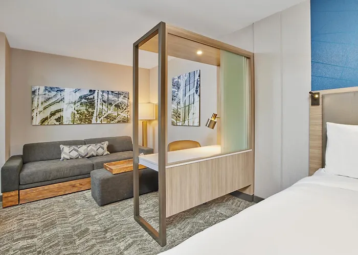 Hotel Springhill By Marriott Chinatown