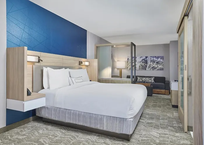 Springhill By Marriott Chinatown Hotel