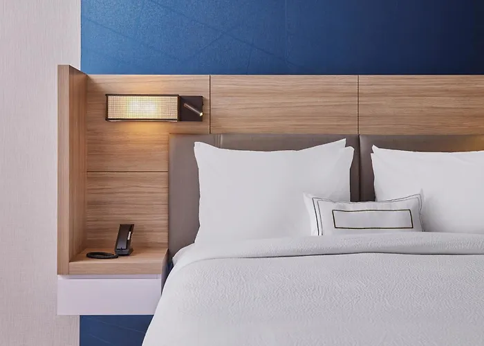 Springhill By Marriott Chinatown 3* Chicago