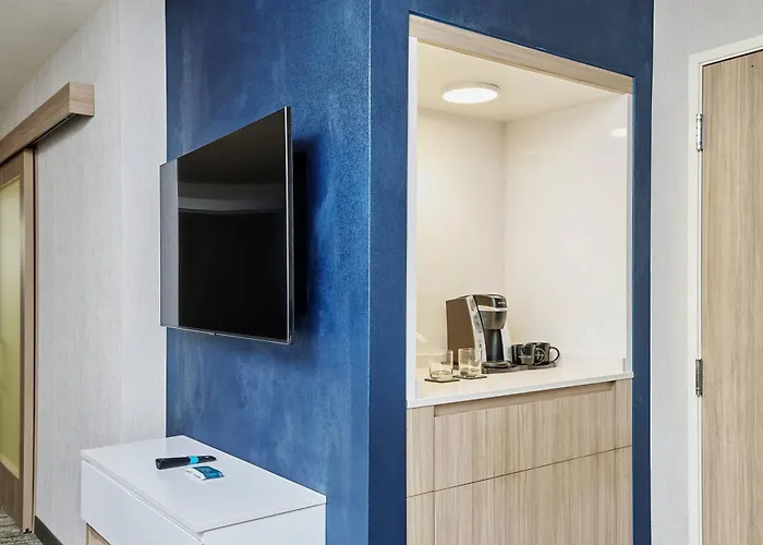 Hotel Springhill By Marriott Chinatown 3*