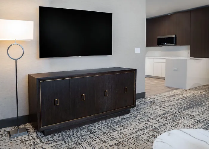 Hotel Springhill By Marriott Chinatown Chicago