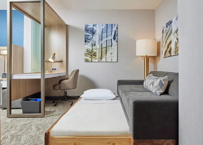 Springhill By Marriott Chinatown Hotel Chicago